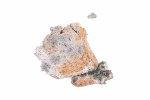 Mouldy bread Stock Photos