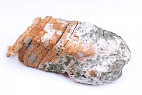 Mouldy bread Stock Photos