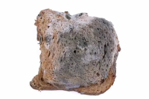 Mouldy bread Stock Photos