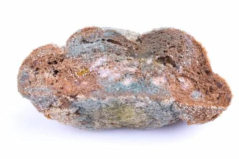 Mouldy bread Stock Photos