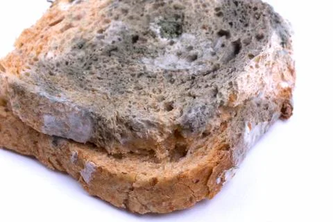 Mouldy bread Stock Photos