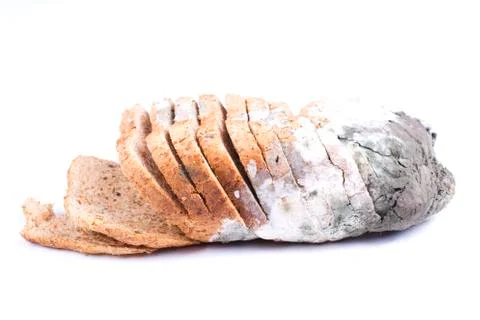 Mouldy bread Stock Photos