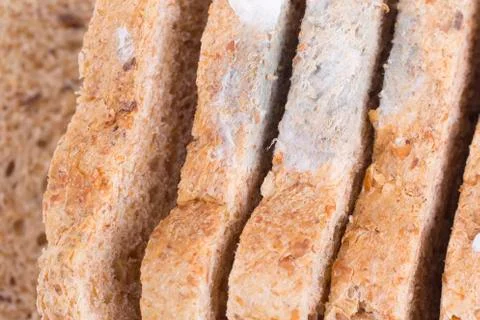 Mouldy bread Stock Photos