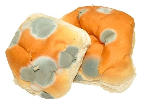 Mouldy Bread Rolls Stock Photos