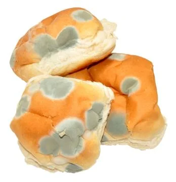 Mouldy Bread Rolls Stock Photos