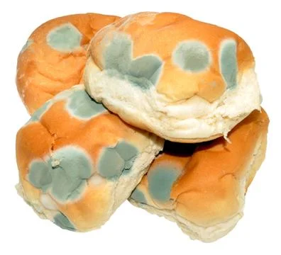 Mouldy Bread Rolls Stock Photos