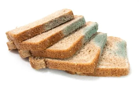 Mouldy bread slices Stock-Fotos