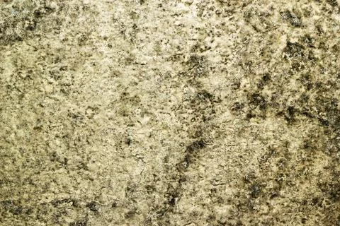 Mouldy wall 写真素材