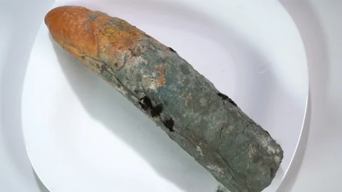 Mouldy white bread in a plate Vídeo Stock 119547617