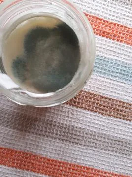 Mouldy yogurt inside a glass container, on a striped cloth Stock Photos