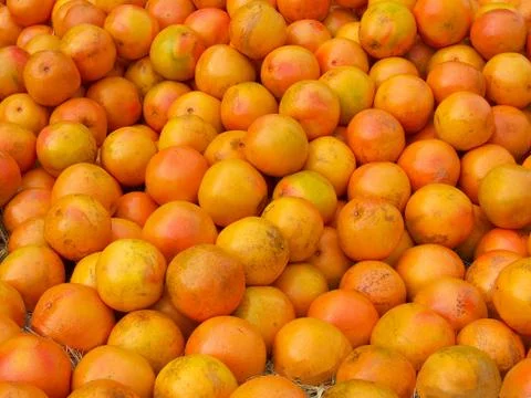 Mound of Grapefruit Stock Photos