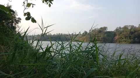 Mound of Green Grass by the Lake 库存影片 244522662