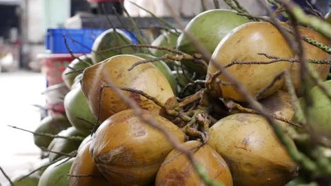 A mound of harvested coconuts sits under soft daylight, ready for trade or Stock Footage 312781241