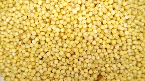 The mound of millet turns clockwise Stock Footage 168422570