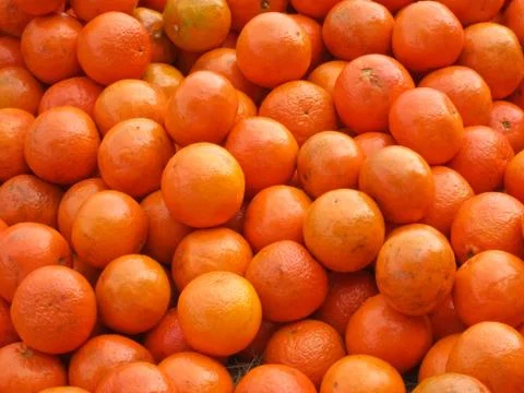 Mound of Oranges Stock Photos