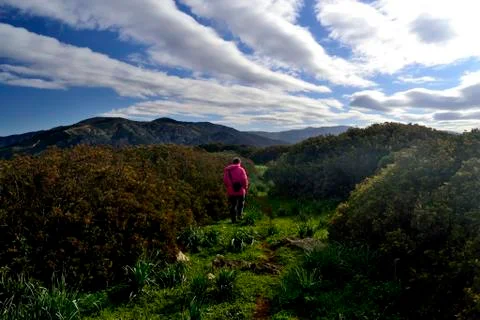 Mount Acutzu Stock-Fotos