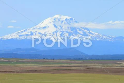 Mount Adams, Washington, U.S.A. Stock Photos