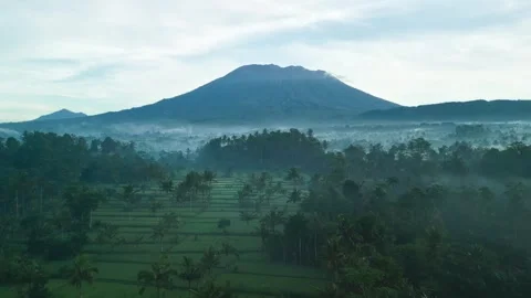 Mount Agung Volcano over Misty Rice Fields at Dawn Aerial View Stock Footage 345374527