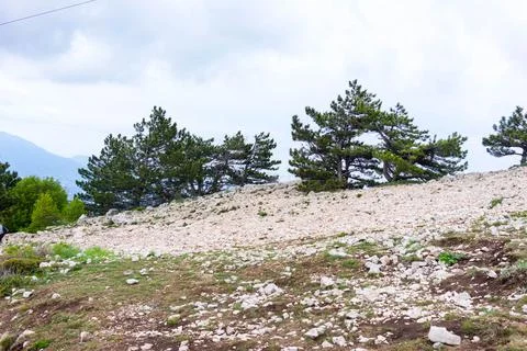 The mount Ai-Petri. Stock Photos