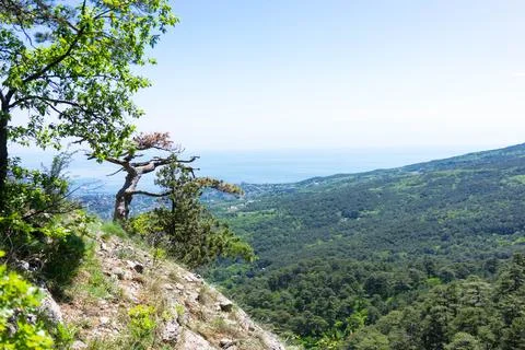 The mount Ai-Petri. Stock Photos