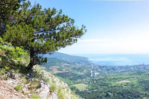 The mount Ai-Petri. Stock Photos
