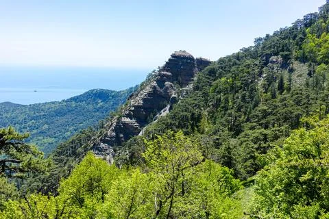The mount Ai-Petri. Stock Photos