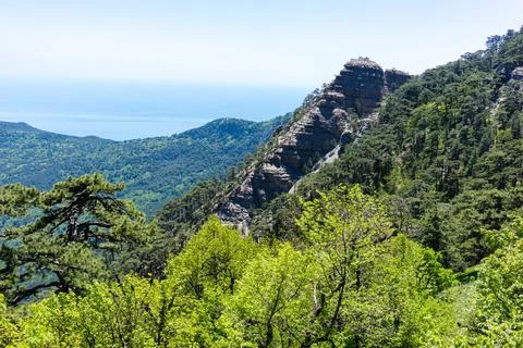 The mount Ai-Petri. Stock Photos