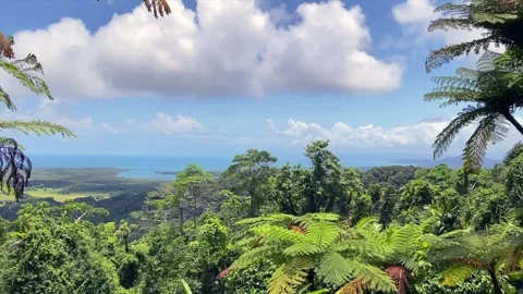 Mount Alexandra Lookout Stock Footage 321108324