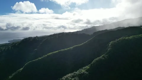 Mount Aorai trail in the clouds Stock Footage 253171340