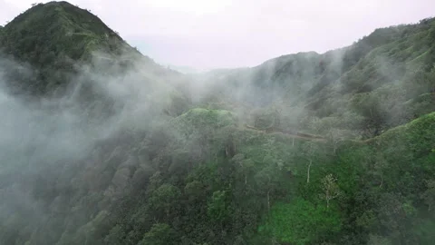 Mount Aorai trail in the clouds Stock Footage 253178101
