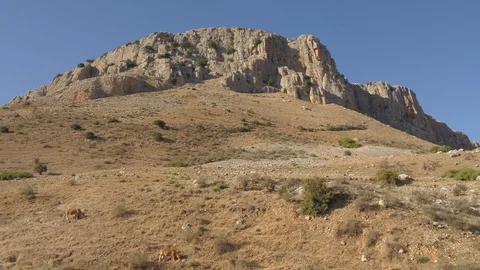 Mount Arbel 14 Stock Footage 126329326