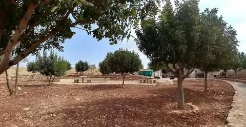 Mount Arbel Stock Photos