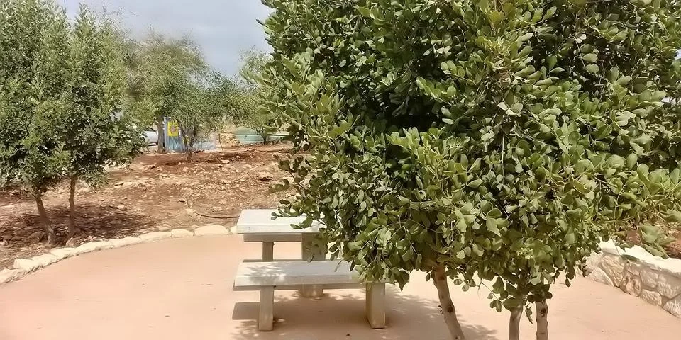 Mount Arbel Stock Photos