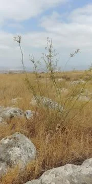 Mount Arbel Stock Photos