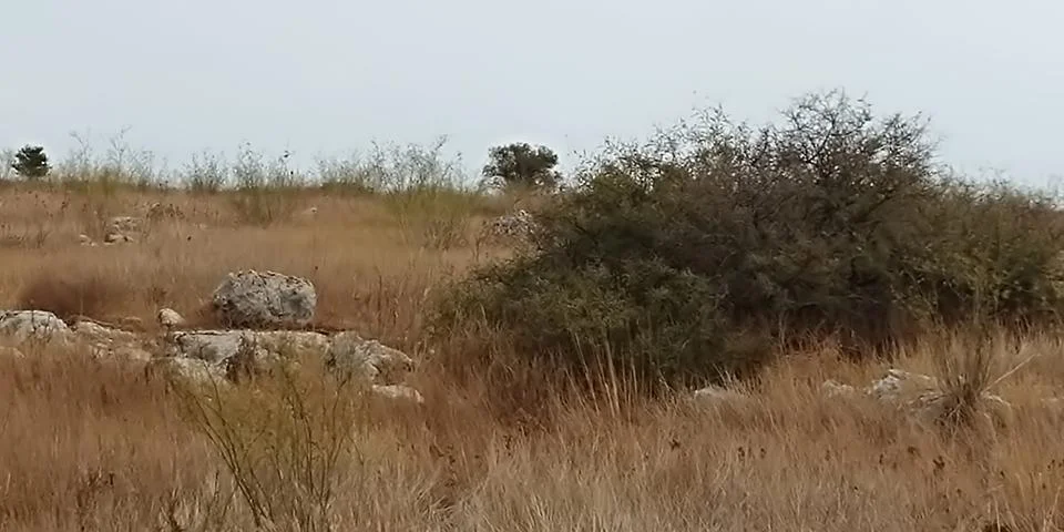 Mount Arbel Stock-Fotos