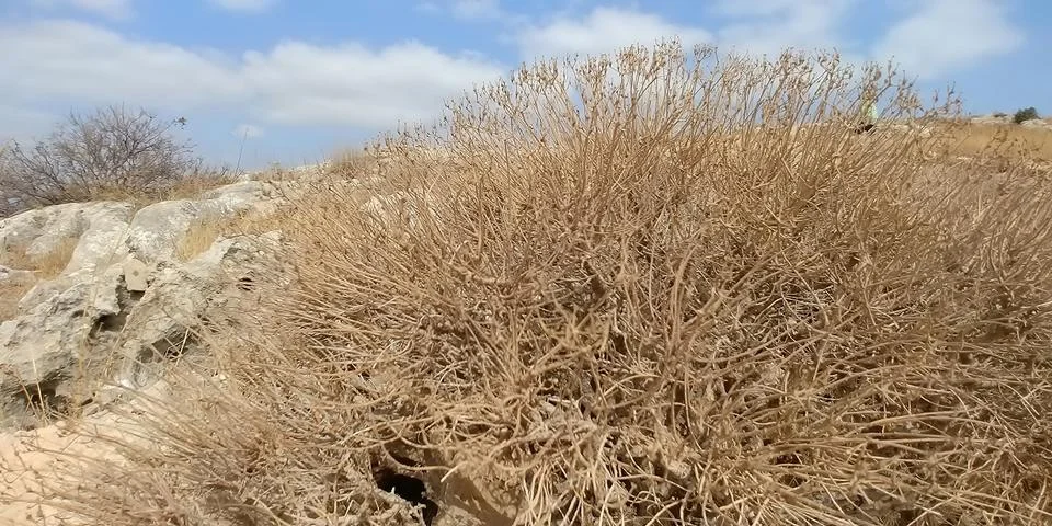 Mount Arbel Foto stock
