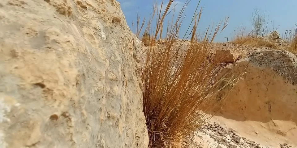 Mount Arbel Stock Photos