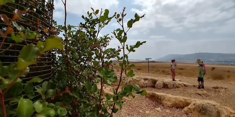 Mount Arbel Stock-Fotos