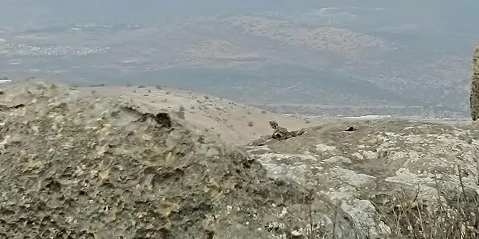 Mount Arbel Stock-Fotos