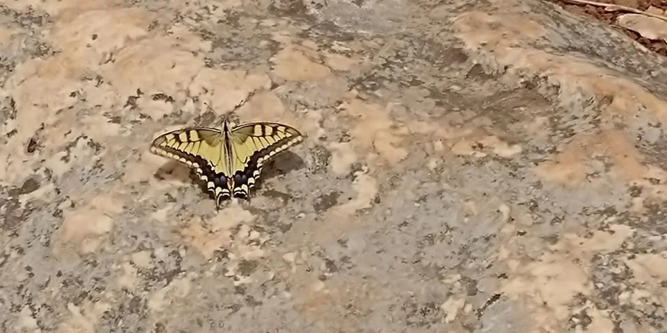 Mount Arbel Stock Photos