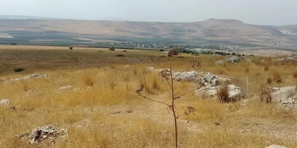 Mount Arbel Stock Photos