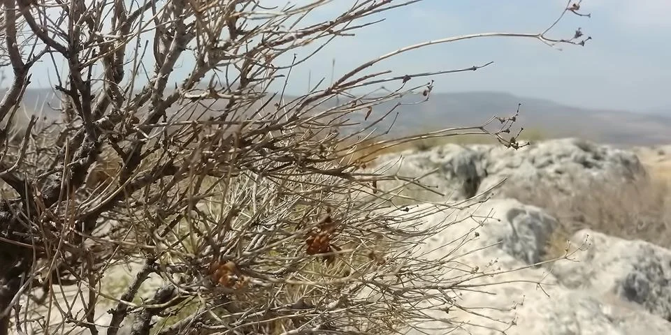 Mount Arbel Stock-Fotos