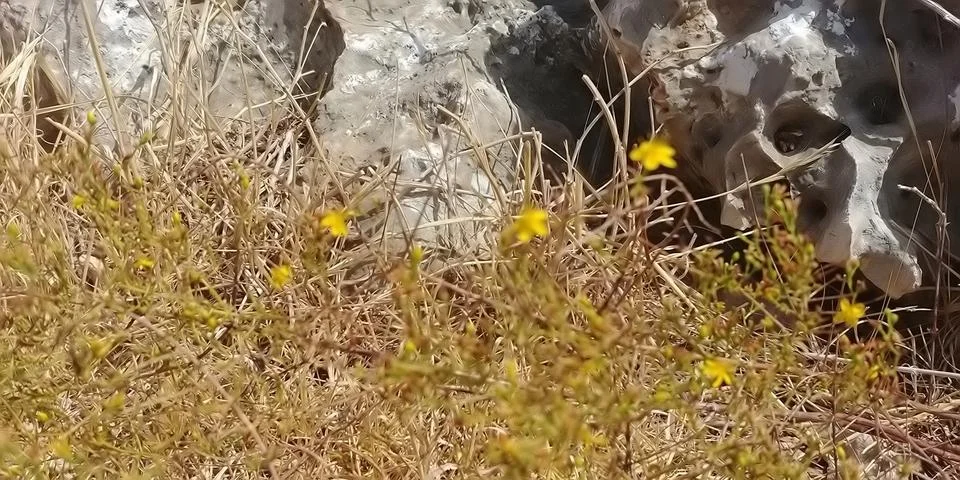 Mount Arbel Stock Photos