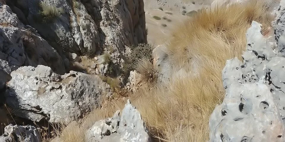 Mount Arbel Stock Photos