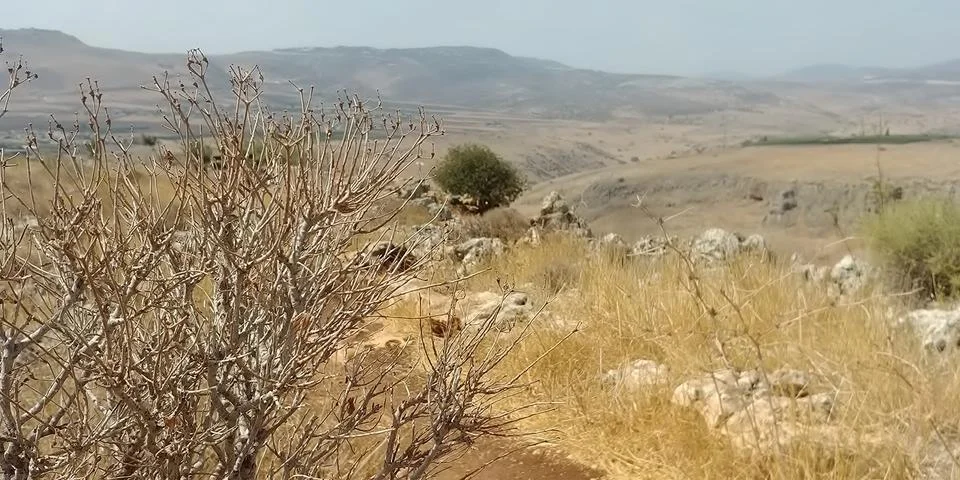 Mount Arbel Stock Photos