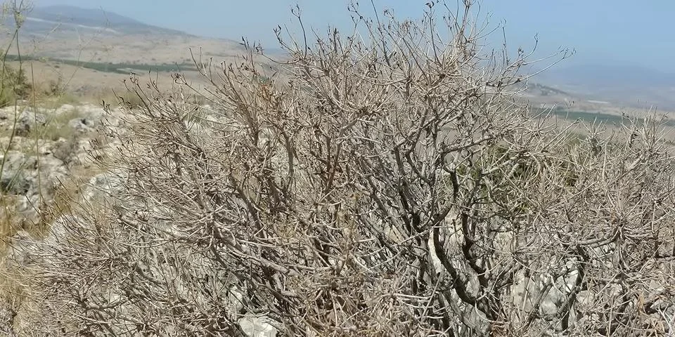 Mount Arbel Foto stock