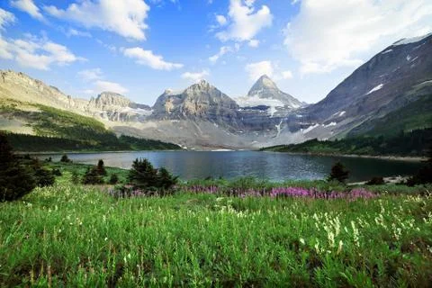 Mount assiniboine Stock Photos