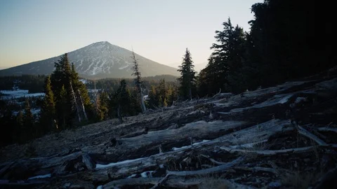 Mount Bachelor - Mountain Meadow Stock Footage 99803479