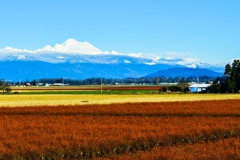 Mount Baker Stock Photos