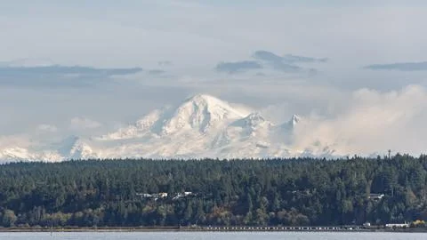 Mount Baker rises majestically behind tall evergreen trees in a clear sky d.. Stock Photos